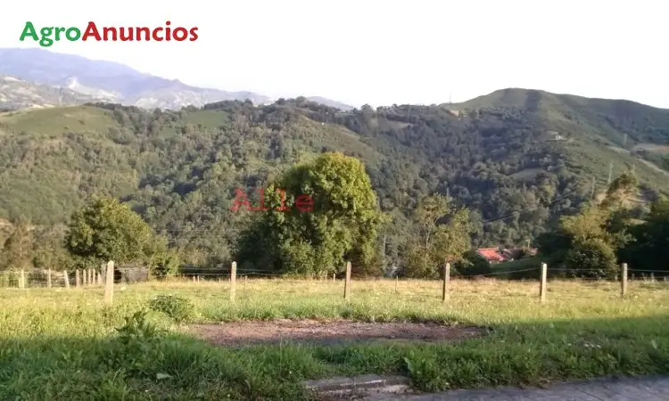 Venta  de Finca urbana edificable en Asturias