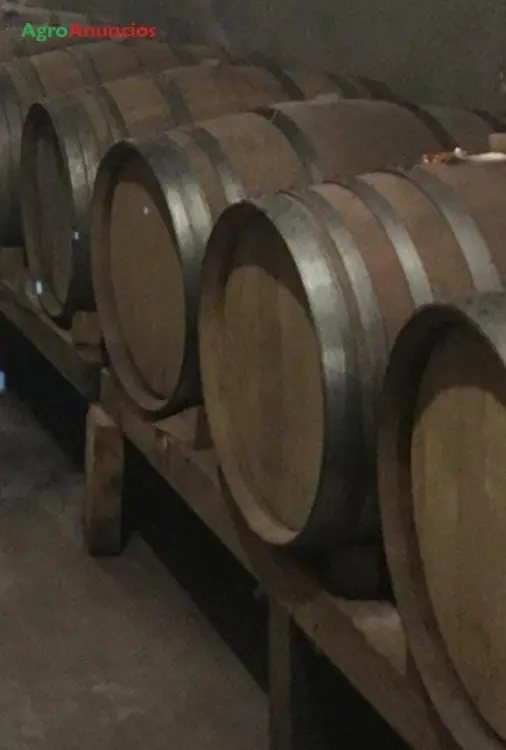 Venta  de Finca de viñas con bodega en Valladolid