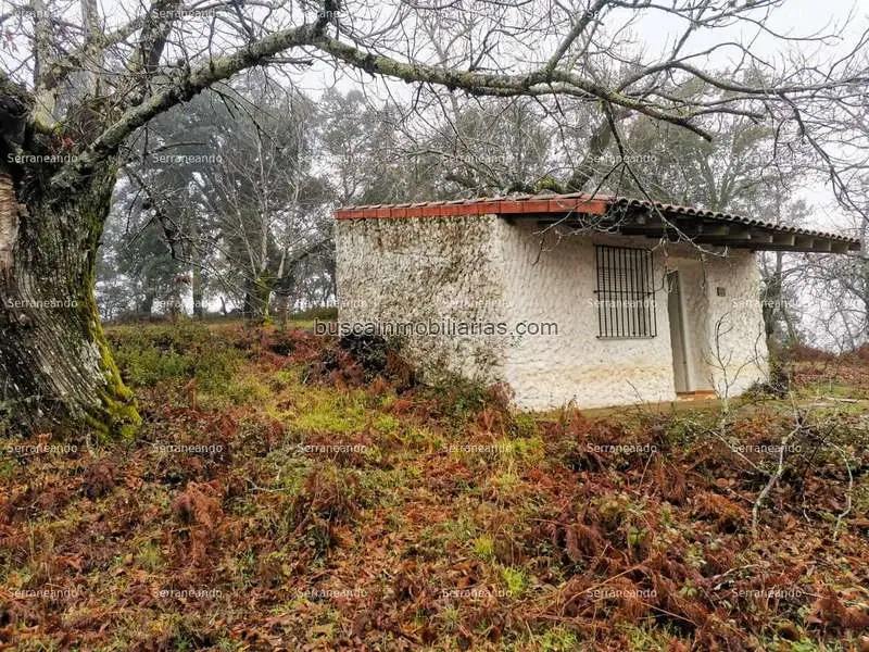 Parcela Rustica en Venta Almonaster la Real