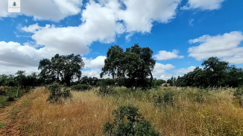 Venta Parcela Badajoz Tres Arroyos 5000m2