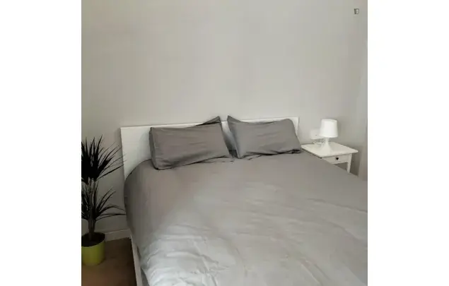 Apartamento 4 Dormitorios Alicante Mercado