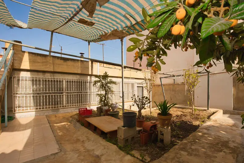 Casa 3 Dormitorios Benijofar Reformada Gran Potencial