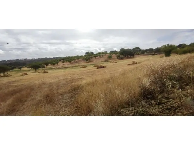 Finca Rústica De 61900 M2