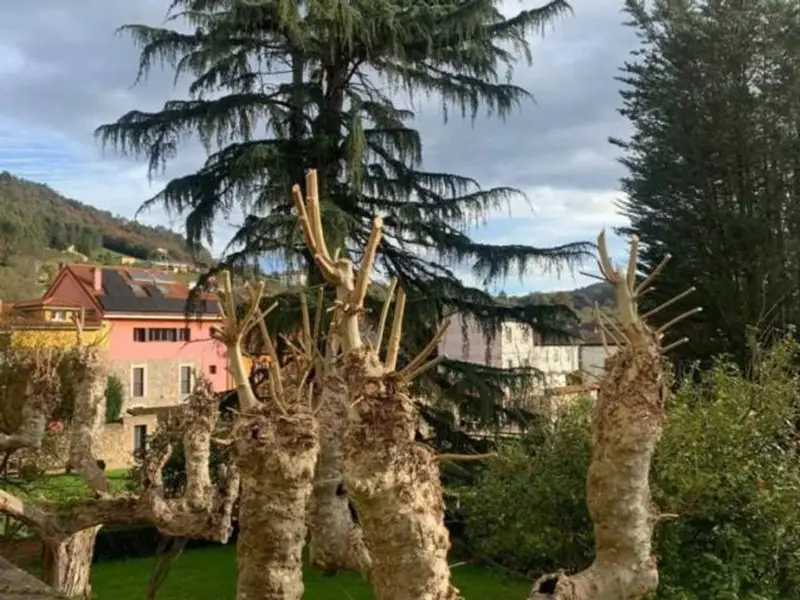 Piso en Salas Asturias para Reformar Ideal Inversores Primera Vivienda
