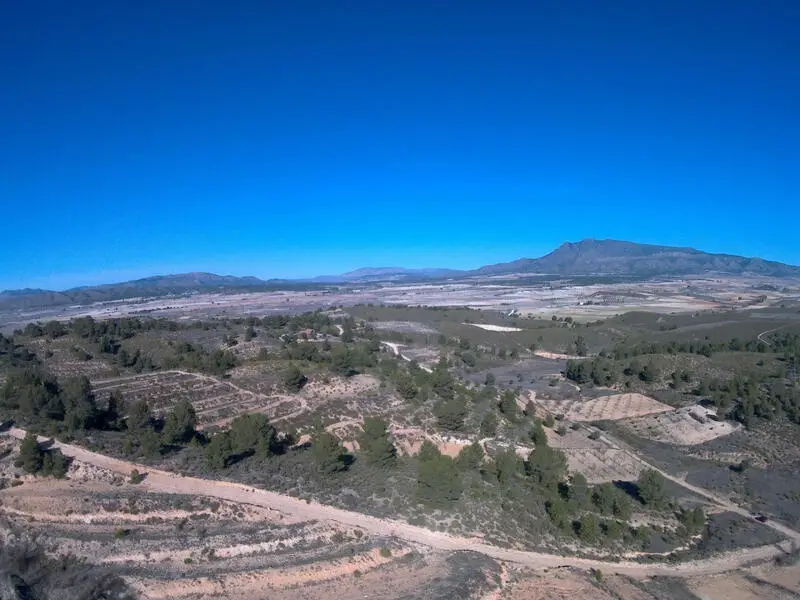 Parcela Edificable en La Zarza - Hasta 400m2 - Vistas al Parque Nacional