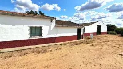 Finca con Chalet Reformado en Montijo
