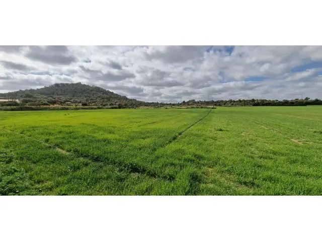 Solar En Venta En Manacor