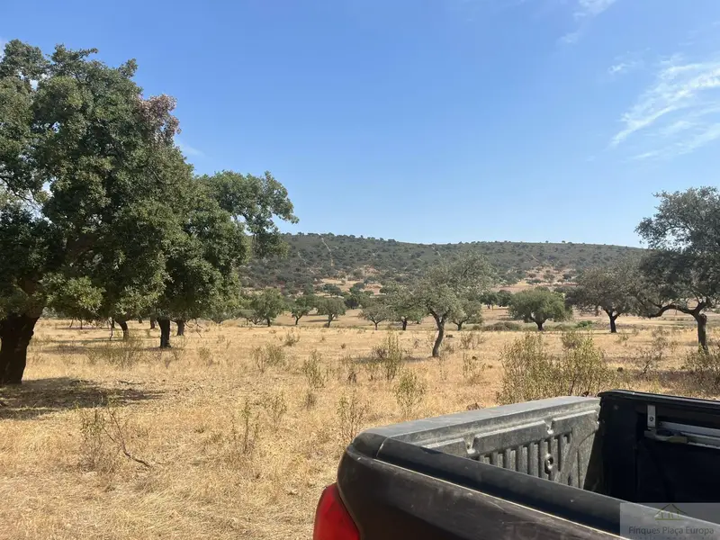 Venta Terreno 288 hectareas Dehesa Cáceres