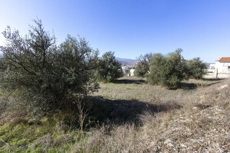 Venta Solar Padul 1343m2 Vistas Vega Laguna