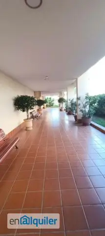 Alquiler piso terraza piscina 3 dormitorios Carretera Cadiz Julio