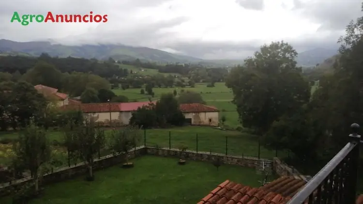 Demanda  de Finca para arándanos en Cantabria