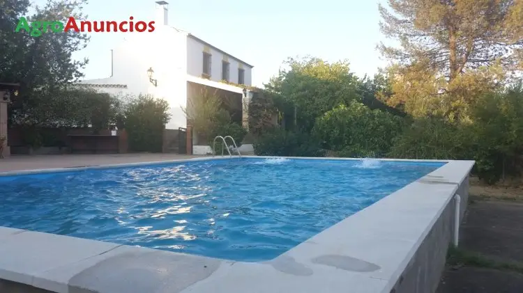Venta Finca Regadío Sevilla 17 ha Cortijo Piscina