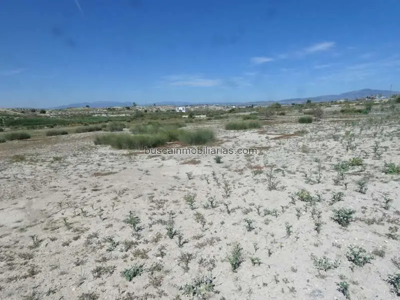 Parcela Rustica en Venta Molina de Segura 4947m2 Solar Rustico
