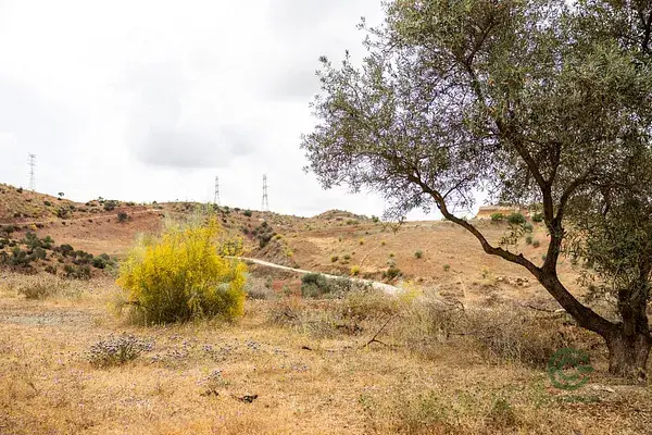 Terreno Rustico Malaga Turismo Rural 905ha Casas Camping
