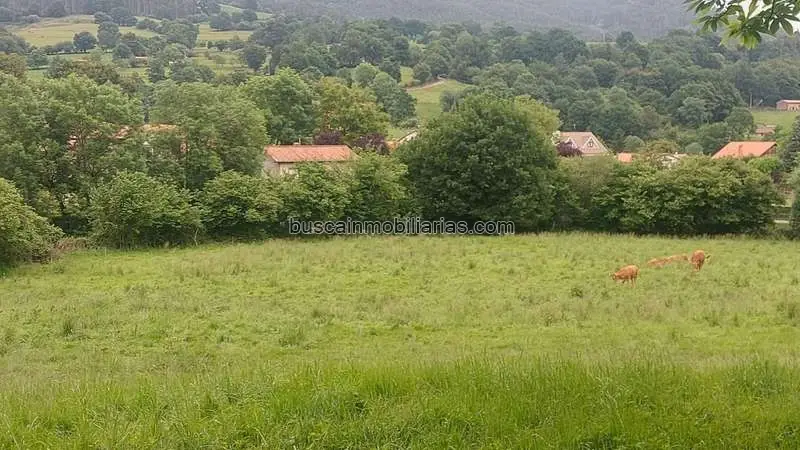 Terreno en Venta Coo Cantabria 13480m2  Ideal Viviendas