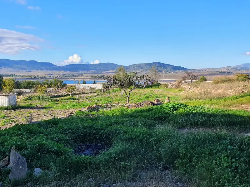 Casa de campo en Monovar, Alicante provincia