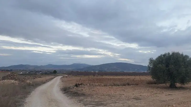 Terrenos en venta
Pinoso, Alicante