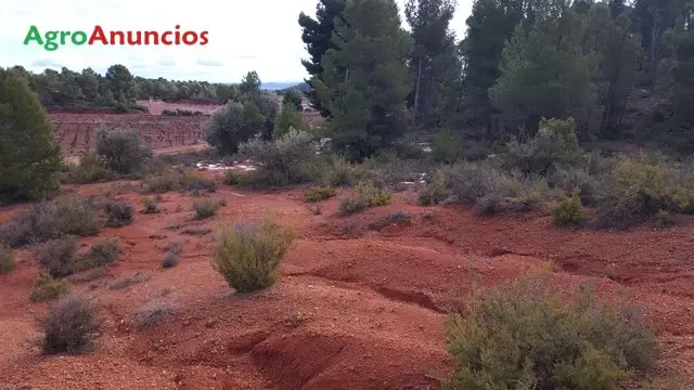 Venta  de Finca de secano y monte en Valencia