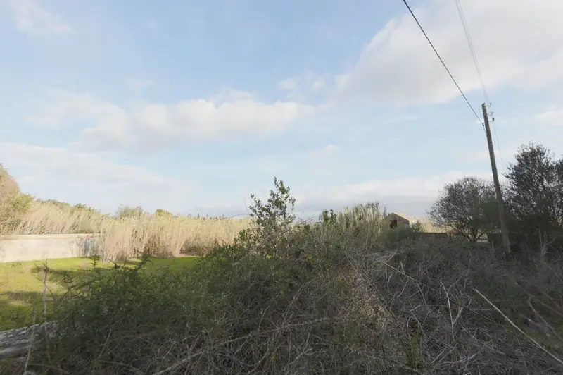 Venta Finca Rustica Arenal Llucmajor 230000m2 Proyecto 900m2