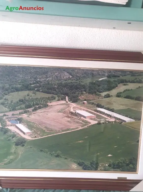 Venta  de Nave ganadera en Lleida