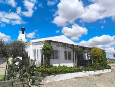 Casa de Campo con Piscina y Gran Parcela en Yecla Murcia