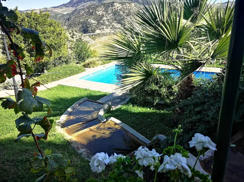 Finca Rural en El Gastor con 5 Apartamentos y Instalaciones Ecuestres