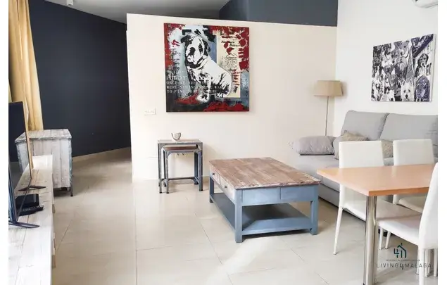 Apartamento 1 Dormitorio 40m2 Malaga Centro Historico