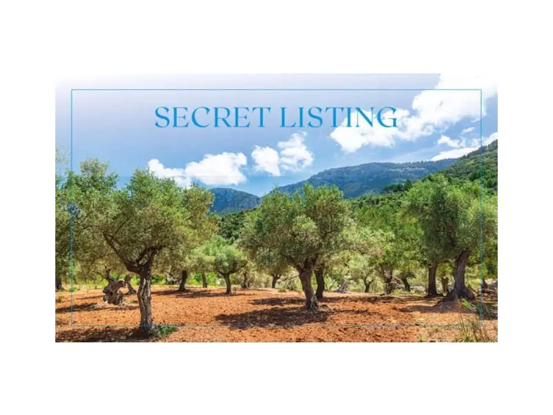 Chalet en Venta Sineu Mallorca Moderna 3 Dormitorios Piscina