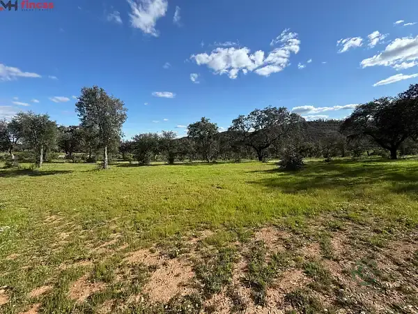 Finca Rustica en Venta Almonaster la Real Huelva 8 Hectareas