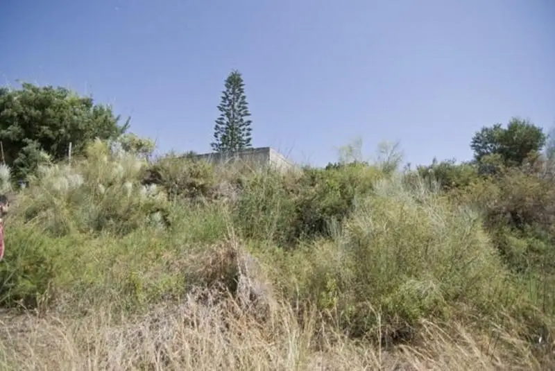 Finca Rustica en Puntal de Jariz Cultivo Recreo