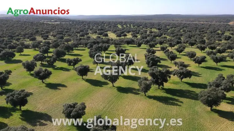 Venta  de Finca con castillo moderno en Segovia