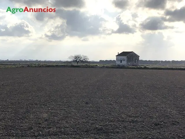 Venta  de Finca de regadío en Valencia