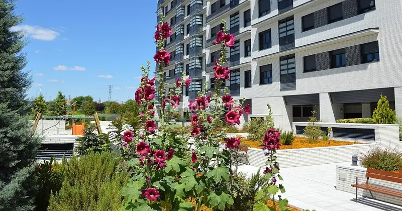 Pisos de Obra Nueva en Madrid: Cielo de Villaverde