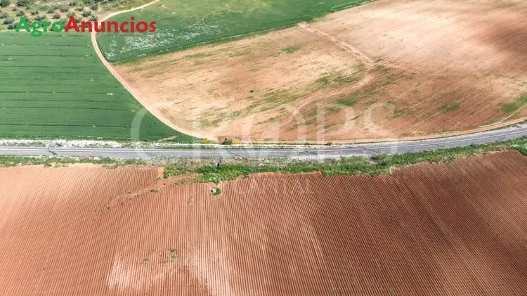 Venta Finca Regadío Málaga 114 ha