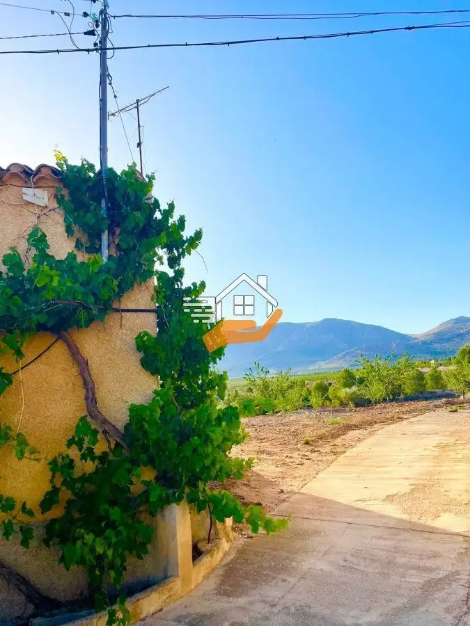 Venta Adosado con Terraza y Terreno en Chirivel