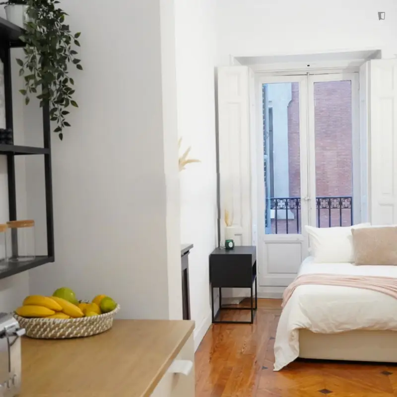 Habitacion Doble en Piso Compartido para Jovenes en Madrid