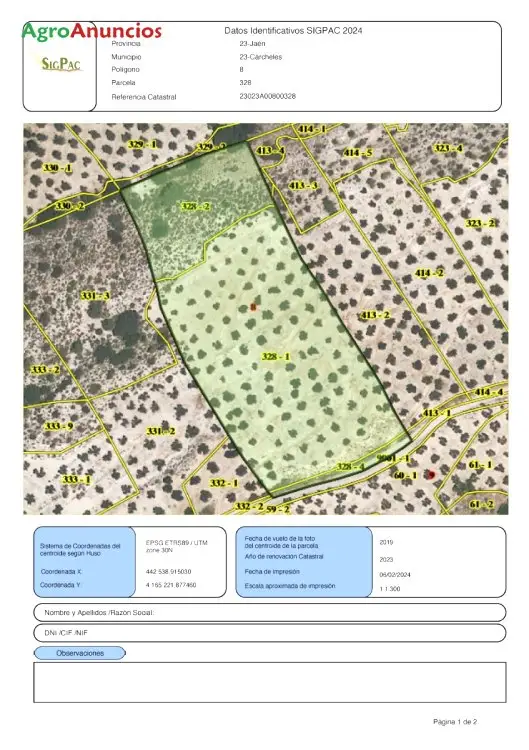 Venta  de Finca de olivar en Jaén