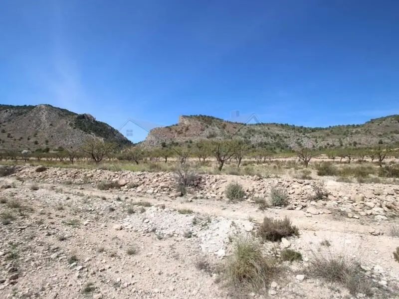 Terreno Edificable 16116m2 Salinas Alicante 1600m2 Vivienda