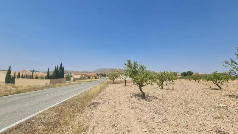 Terreno Edificable en Jumilla Murcia 7340m2