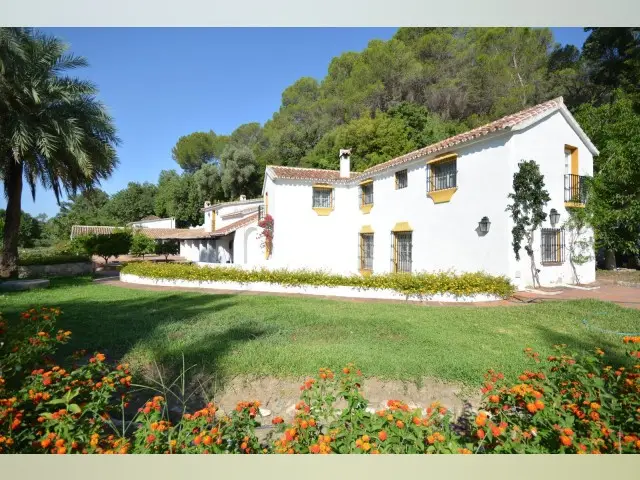 Finca Cortijo con Plantacion de Aguacates en Andalucia
