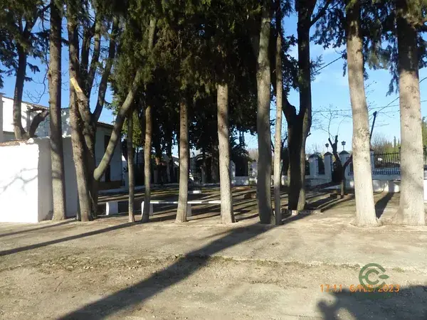 Finca Rustica en Ronda con 19000m2