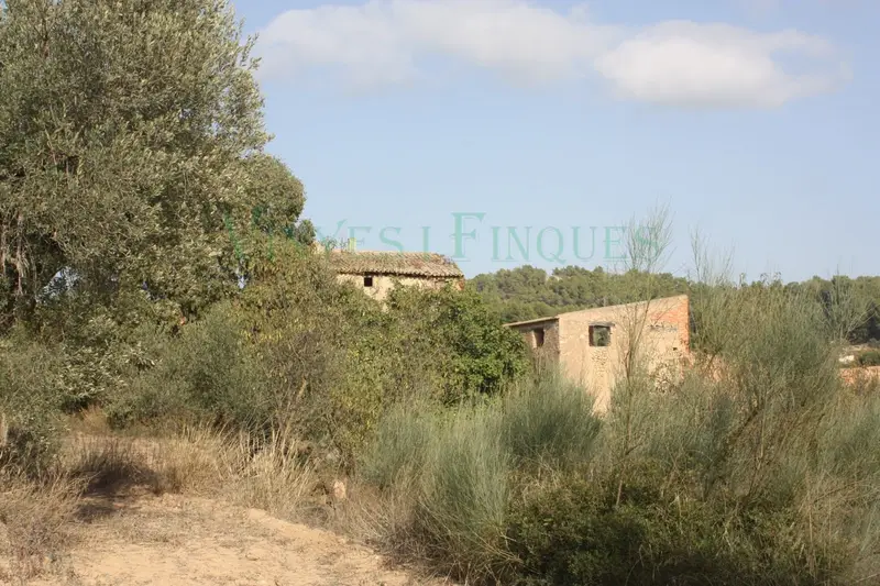 Masia Rural en Venta Priorat Montsant