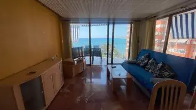 Apartamento en Alquiler Primera Linea de Playa Jaime I El Conquistador