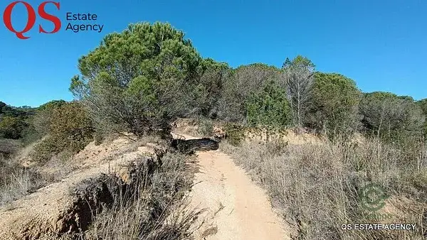 Terreno Rústico 314ha en Valldolitg Girona