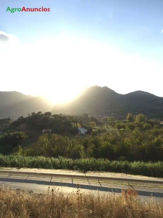 Venta  de Finca de regadío con casa entre dos ríos en Sevilla