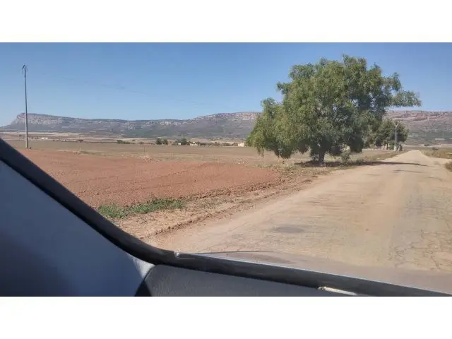 Terreno Rustico En Venta Almansa 42000m2