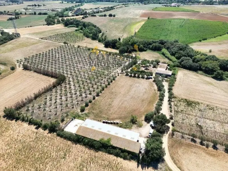 Finca Rustica Siurana Girona 40000m2 Seis Habitaciones