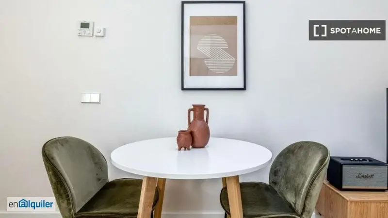 Apartamento 1 Dormitorio Salamanca Amueblado