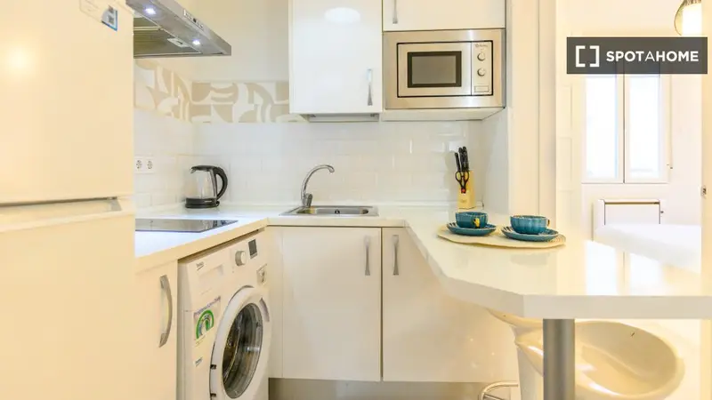 Apartamento 1 Dormitorio Madrid Amueblado Cocina Equipada