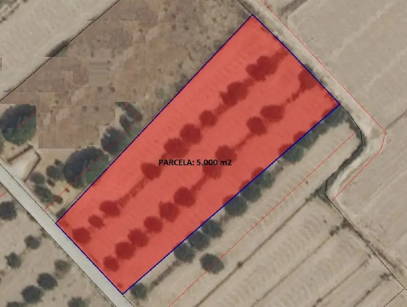 Parcela Edificable con Vistas en Lorca 5000m2